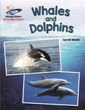 WHALES AND DOLPHINS - WHITE: GALAXY