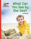 WHAT CAN YOU SEE BY THE SEA? - RED B