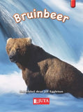 Bruinbeer