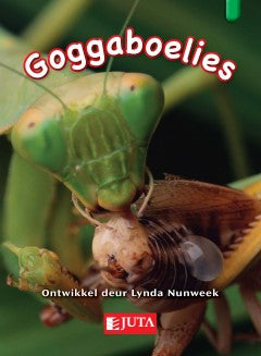 Goggaboelies (L13)