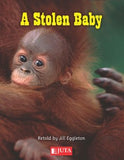 A Stolen Baby