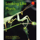 AK+ L12: LOOKING LIKE PLANTS