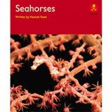 AK+ L14: SEAHORSES