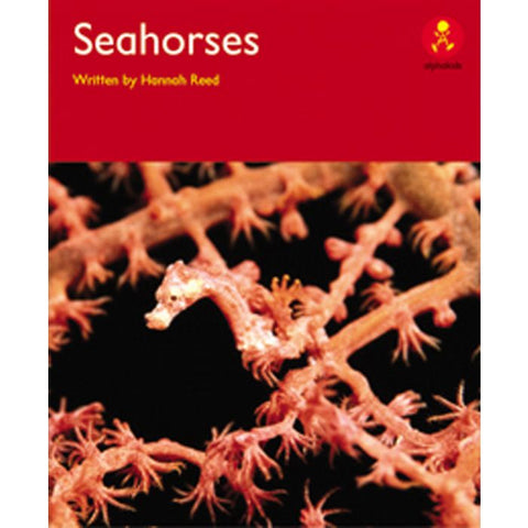 AK+ L14: SEAHORSES