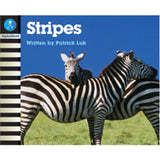 AW L1: STRIPES