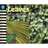 AW L3: LEAVES