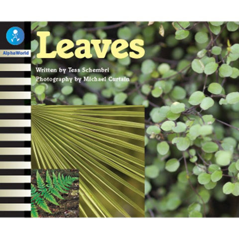AW L3: LEAVES