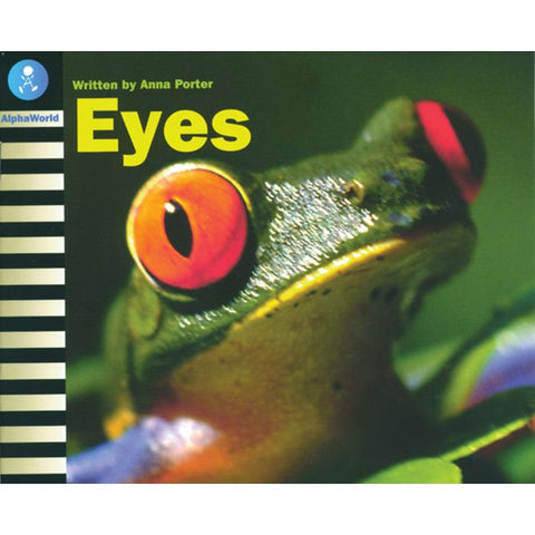 AW L9: EYES