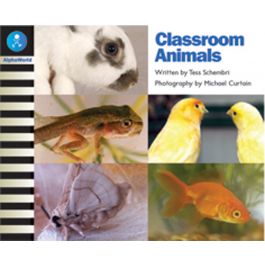 AW L11: CLASSROOM ANIMALS