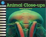 AW L11: ANIMAL CLOSE-UPS