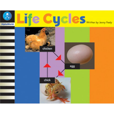 AW L12: LIFE CYCLES