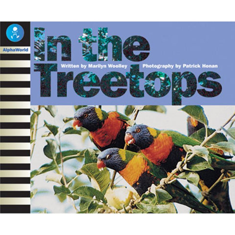 AW L16: IN THE TREETOPS