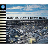 AW L19: HOW DO PLANTS GROW HER