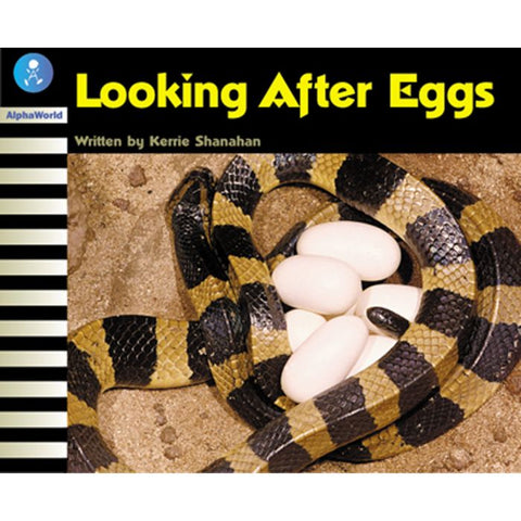 AW L20: LOOKING AFTER EGGS