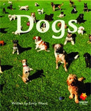 FLYING START DOGS L1