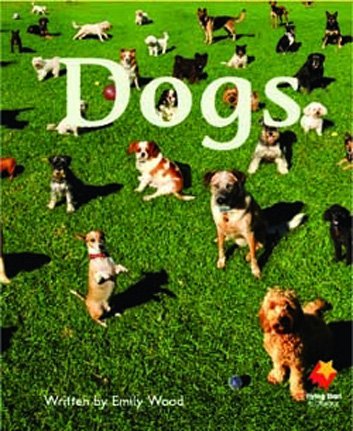 FLYING START DOGS L1
