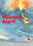 FS VOLCANO ALERT!