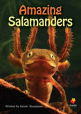 FS AMAZING SALAMANDER L25