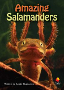FS AMAZING SALAMANDER L25