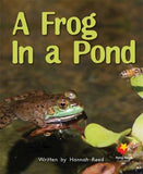 FS A FROG IN THE POND L11
