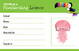Penpals for Handwriting Pen Licence Cards (pack of 200) (Loose-leaf)