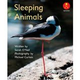 AK L6: SLEEPING ANIMALS