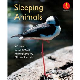 AK L6: SLEEPING ANIMALS