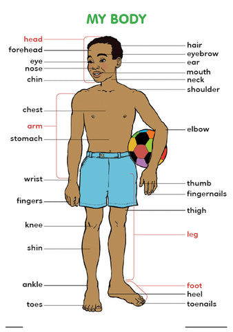 CHART: MY BODY A2