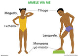 CHART: JUNIOR SETSWANA OUR BODIES A2