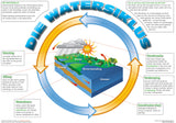 CHART: DIE WATERSIKLUS A2 (FLAT)