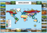 CHART: WERELDBIOME KAARTE A1 (FLAT)