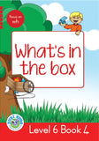 DUZI BUGS: RED LEVEL 6: BOOK 4: WHAT'S IN THE BOX?