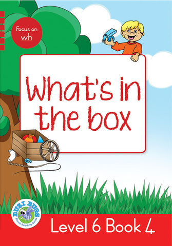 DUZI BUGS: RED LEVEL 6: BOOK 4: WHAT'S IN THE BOX?