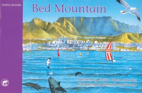 JUMBO READER FOUNDATION PHASE PURPLE: BED MOUNTAIN