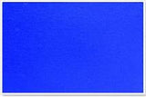 Info Boards ﴾Plastic Frame, Felt﴿ Parrot product