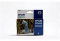 Epson Light Cyan T0485 Ink Cartridge