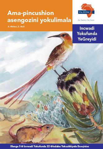 "Via Afrika isiNdebele Home Language Intermediate Phase Graded Reader 22: Ama-pincushion asengozini yokulimala (Printed book.)"