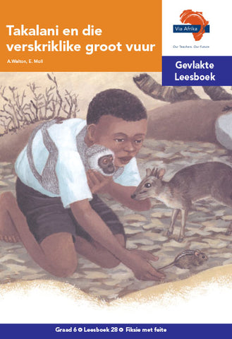 "Via Afrika Afrikaans Huistaal Intermediêre Fase Gevlakte Leesboek 28:  Takalani en die verskriklike groot vuur (Printed book.)"