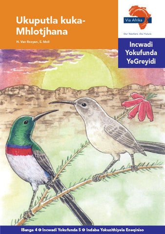 "Via Afrika isiNdebele Home Language Intermediate Phase Graded Reader 5: Ukuputla kuka-Mhlotjhana (Printed book.)"