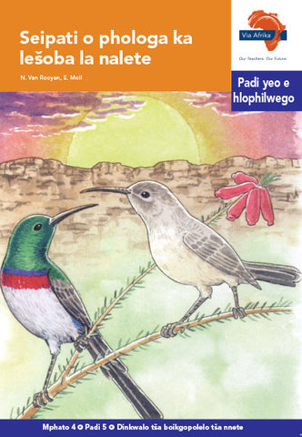 "Via Afrika Sepedi Home Language Intermediate Phase Graded Reader 5:  Seipati o phologa ka lešoba la nalete (Printed book.)"