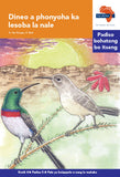 "Via Afrika Sesotho Home Language Intermediate Phase Graded Reader 5:  Dineo a phonyoha ka lesoba la nale (Printed book.)"