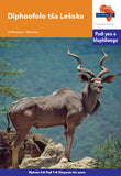 "Via Afrika Sepedi Home Language Intermediate Phase Graded Reader 9: Diphoofolo tša Lešoka (Printed book.)"