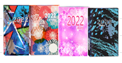 CTP 2022 DATED SCHOOL DIARY (Each)