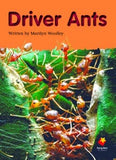 FS DRIVER ANTS L20