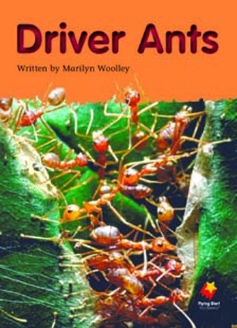 FS DRIVER ANTS L20