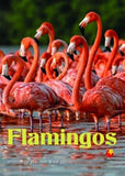 FS FLAMINGOS L16