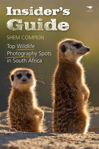 Insider's Guide: Top wildlife photography spots in South Africa