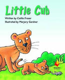 FS LITTLE CUB L9