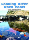 FS LOOKING AFTER ROCK L20