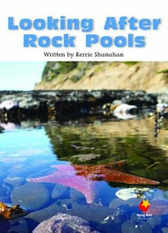 FS LOOKING AFTER ROCK L20